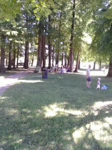 PARCO_ZANZI 2013-08-10 14.00.50