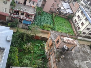 Orti_Kathmandu 2013-10-18 07.55.43