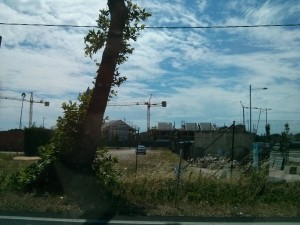 IMG_20140617_115242